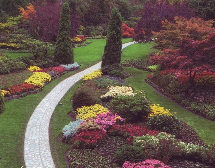 MossLine Amazon landscape design studio